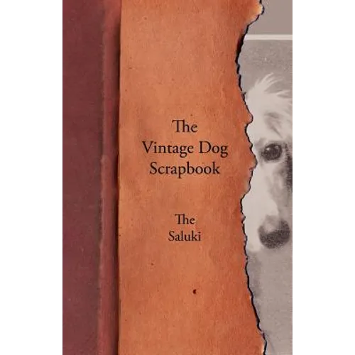 The Vintage Dog Scrapbook - The Saluki - Paperback