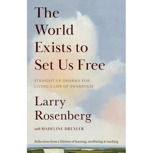 The World Exists to Set Us Free: Straight-Up Dharma for Living a Life of Awareness