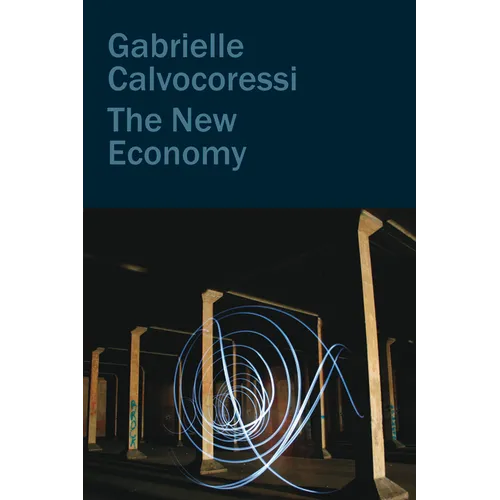 The New Economy - Hardcover