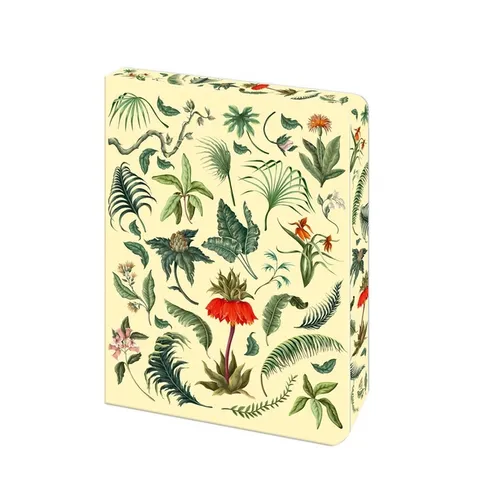 The Fern Journal: Blank Lined Notebook - Paperback