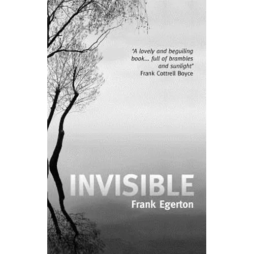 Invisible - Paperback