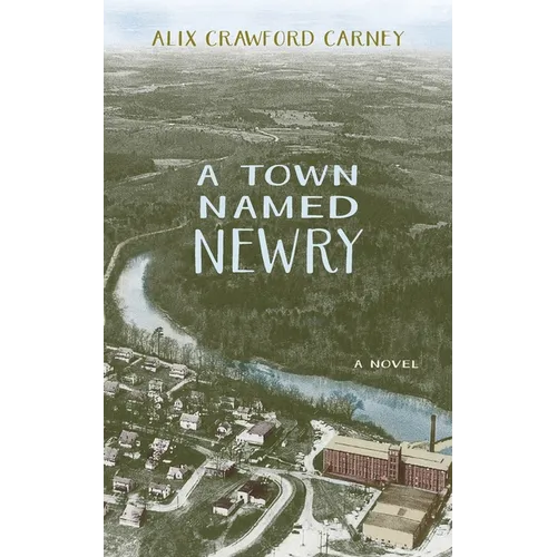 A Town Named Newry - Paperback