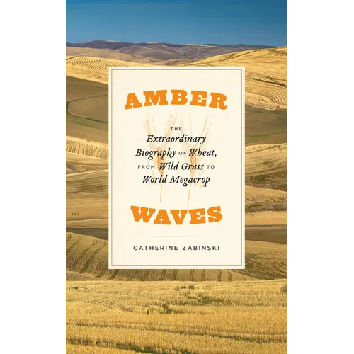 Amber Waves: The Extraordinary Biography of Wheat, from Wild Grass to World Megacrop - Paperback
