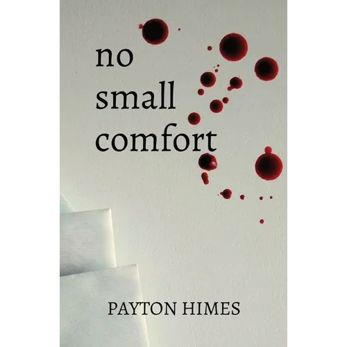 no small comfort - Paperback