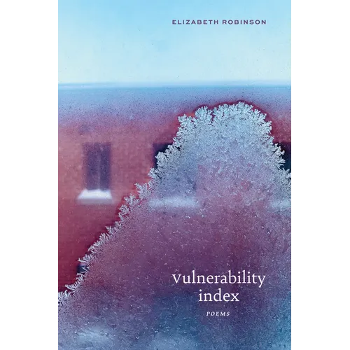 Vulnerability Index: Poems - Paperback