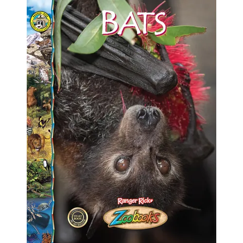 Bats - Library Binding
