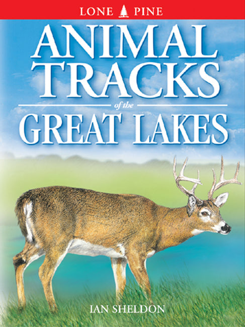 Animal Tracks of the Great Lakes - Paperback