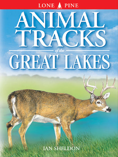 Animal Tracks of the Great Lakes - Paperback