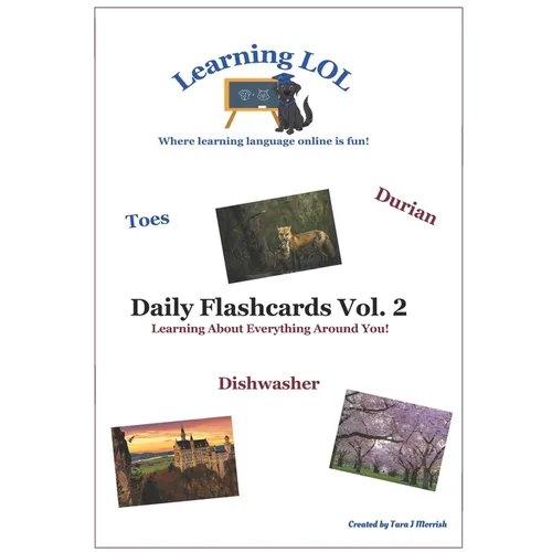 Daily Flashcards Vol. 2: Learning About Everything Around You! - Paperback