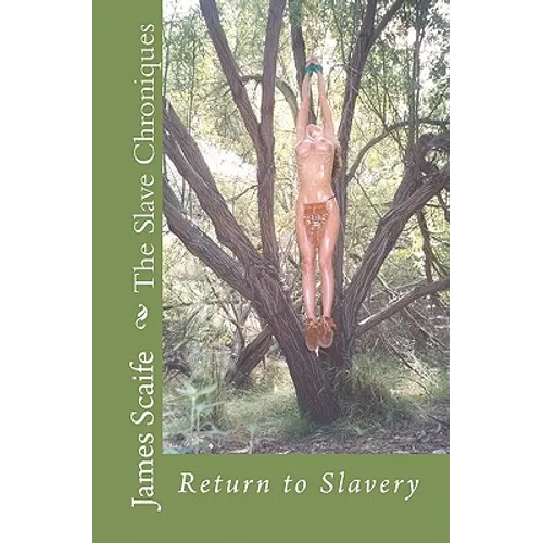 The Slave Chroniques: Return To Slavery - Paperback