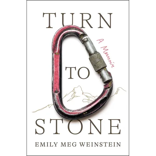 Turn to Stone: A Memoir - Hardcover