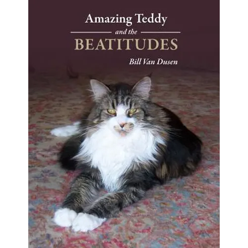 Amazing Teddy and the Beatitudes - Paperback