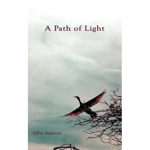 A Path of Light - Paperback