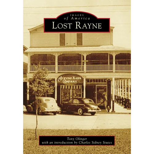 Lost Rayne - Paperback