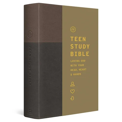 ESV Teen Study Bible (Trutone, Slate/Umber) - Imitation Leather