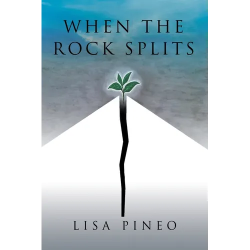 When the Rock Splits: A Snapshot of True Events - Paperback