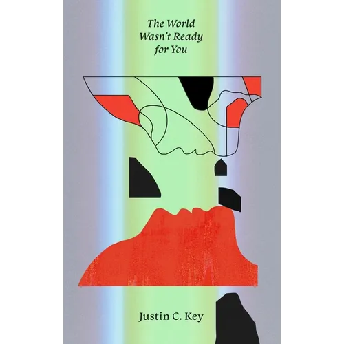 The World Wasn't Ready for You: Stories - Paperback