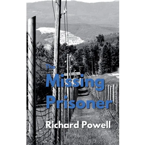 The Missing Prisoner - Paperback
