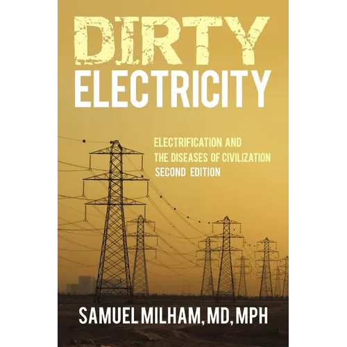 Dirty Electricity: Electrification and the Diseases of Civilization - Paperback