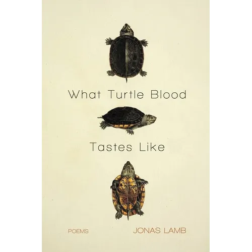 What Turtle Blood Tastes Like - Paperback