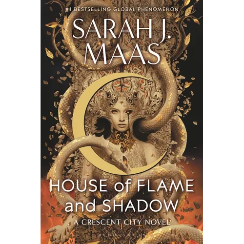 House of Flame and Shadow - Paperback