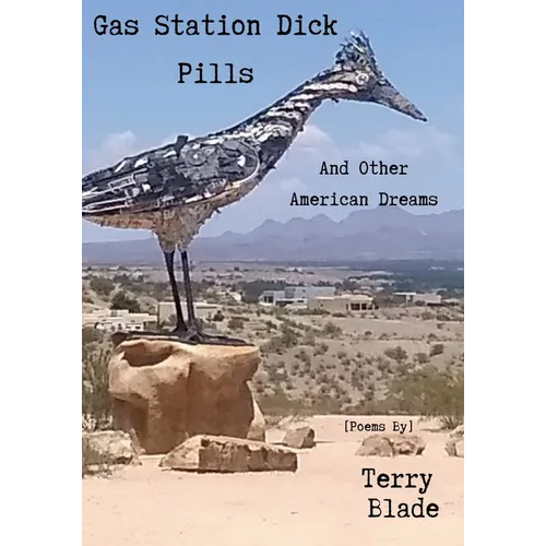 Gas Station Dick Pills And Other American Dreams - Paperback
