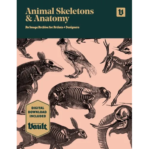 Animal Skeletons and Anatomy: An Image Archive for Artists and Designers - Paperback