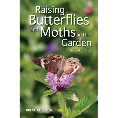 Raising Butterflies and Moths in the Garden