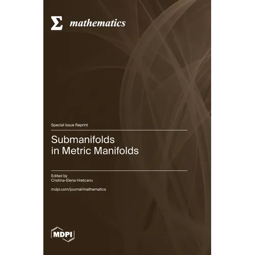 Submanifolds in Metric Manifolds