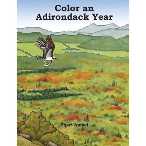 Color an Adirondack Year - Paperback