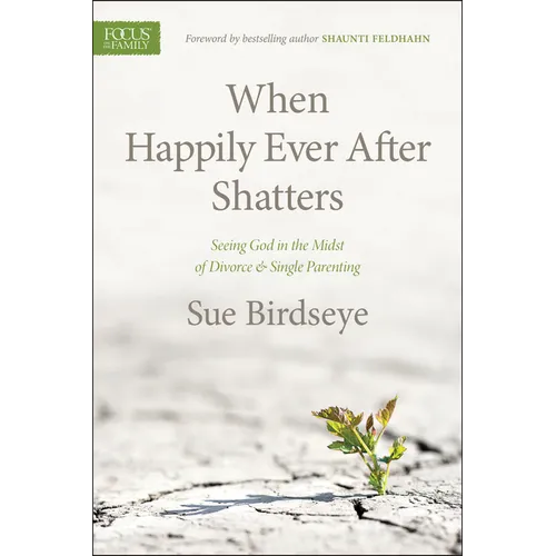 When Happily Ever After Shatters: Seeing God in the Midst of Divorce & Single Parenting - Paperback