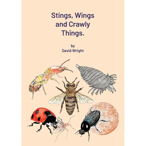 Stings, Wings and Crawly Things - Paperback