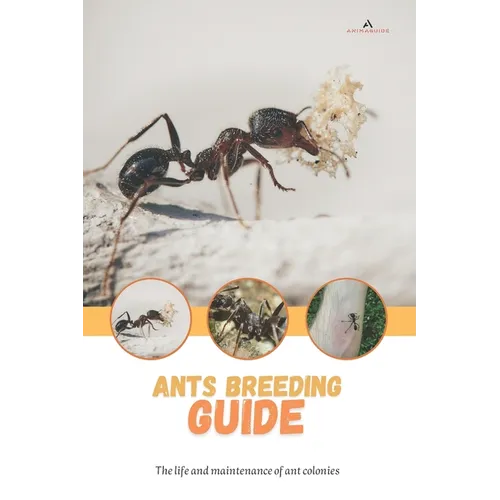 Ants breeding guide: The life and maintenance of ant colonies - Paperback