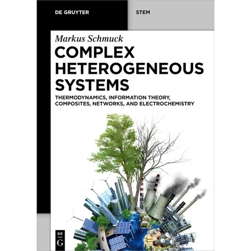 Complex Heterogeneous Systems: Thermodynamics, Information Theory, Composites, Networks, and Electrochemistry - Paperback