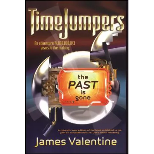 The Past Is Gone - Paperback