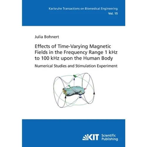 Effects of Time-Varying Magnetic Fields in the Frequency Range 1 kHz to 100 kHz upon the Human Body: Numerical Studies and Stimulation Experiment