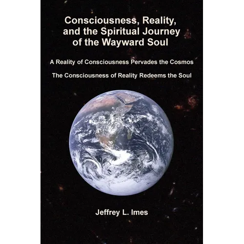 Consciousness, Reality, and the Spiritual Journey of the Wayward Soul - Paperback