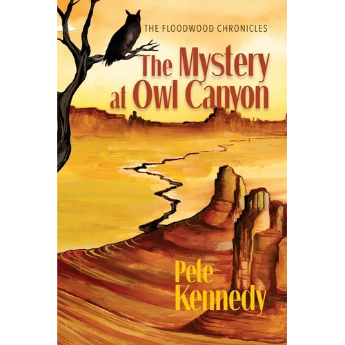 The Mystery at Owl Canyon - Paperback