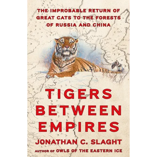 Tigers Between Empires: The Improbable Return of Great Cats to the Forests of Russia and China