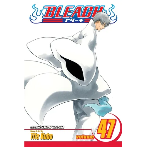 Bleach, Vol. 47: End of the Chrysalis Age - Paperback