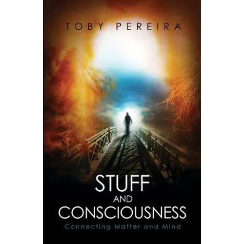 Stuff and Consciousness - Paperback