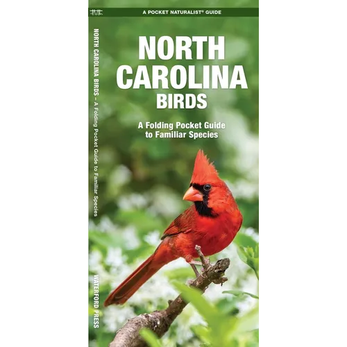 North Carolina Birds: A Folding Pocket Guide to Familiar Species - Paperback