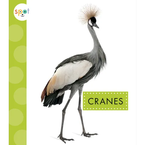 Cranes - Paperback