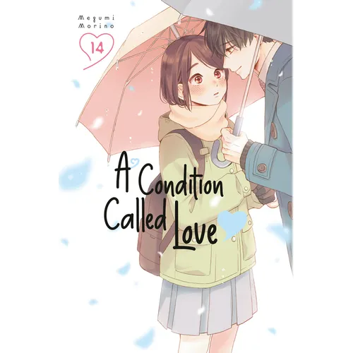 A Condition Called Love 14 - Paperback