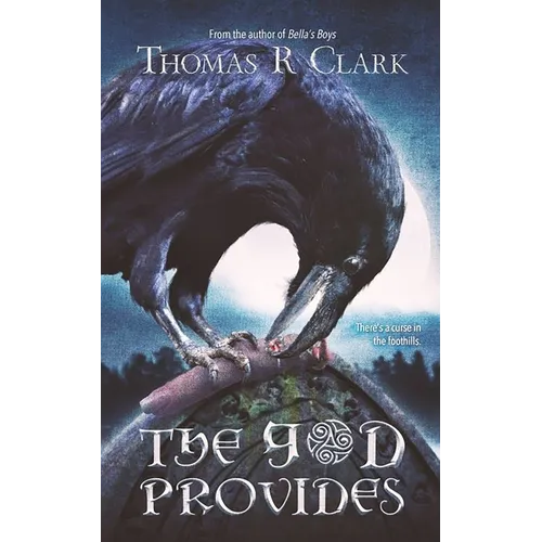The God Provides - Paperback