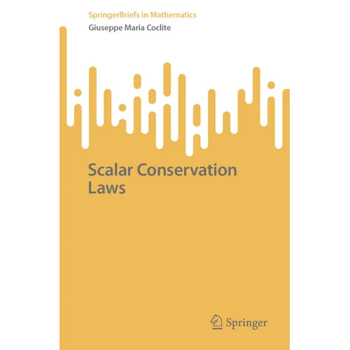 Scalar Conservation Laws - Paperback
