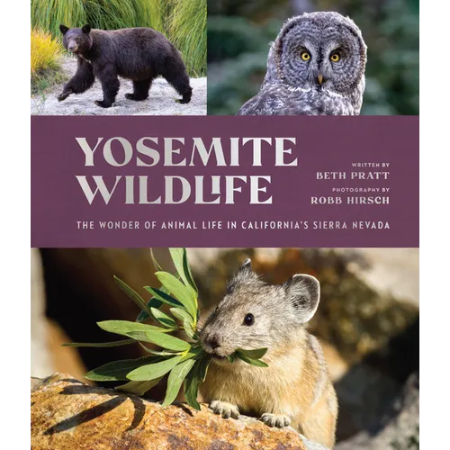 Yosemite Wildlife: The Wonder of Animal Life in California's Sierra Nevada - Hardcover