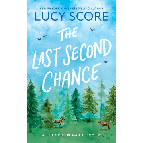 The Last Second Chance - Paperback