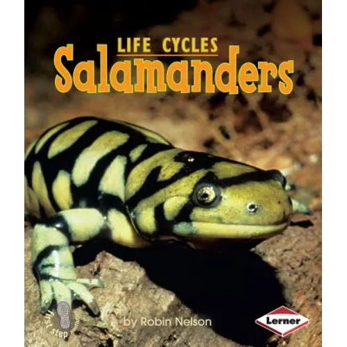 Salamanders - Paperback