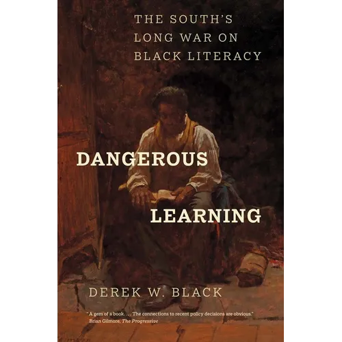 Dangerous Learning: The South's Long War on Black Literacy - Paperback